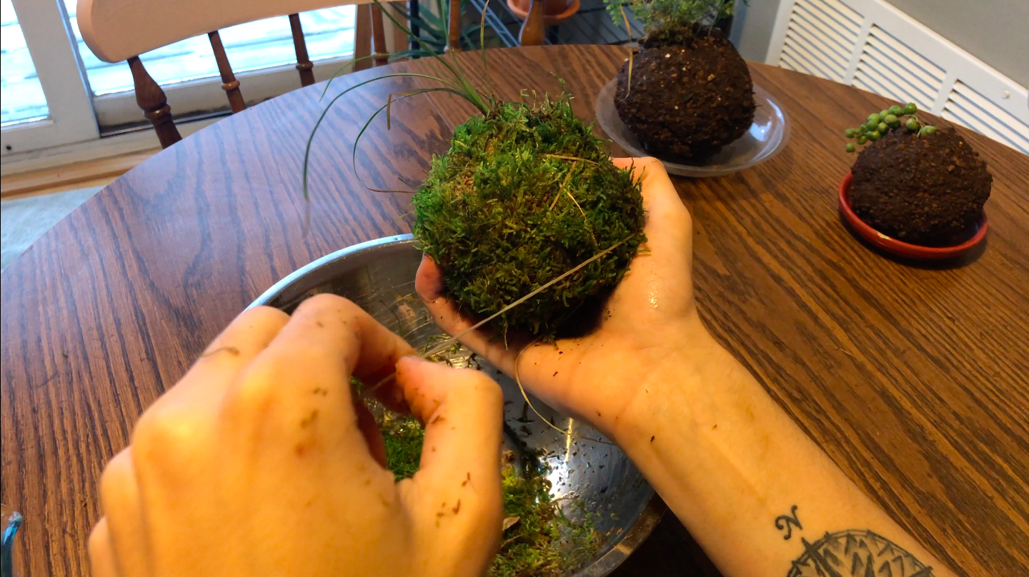 how-to-make-kokedama-combine-and-mold: Latex gloves keep hands clean while shaping the ball. You’ll know you have the right mix when it holds together. 