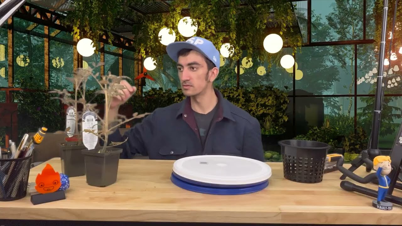 Grow a Salad in a Bucket: No Soil, No Pump, No Electricity