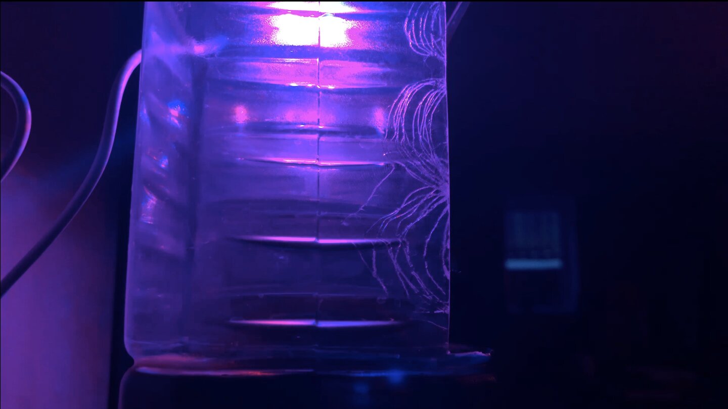 Turning Thrift-Store Junk Into a Tiny Sealed Ecosystem